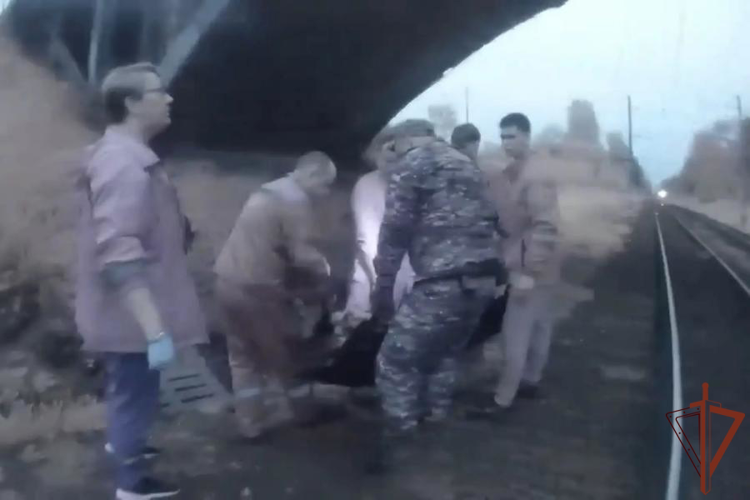 В Санкт-Петербурге росгвардейцы передали медикам несовершеннолетнего, травмировавшегося в результате падения на железнодорожные пути (видео)