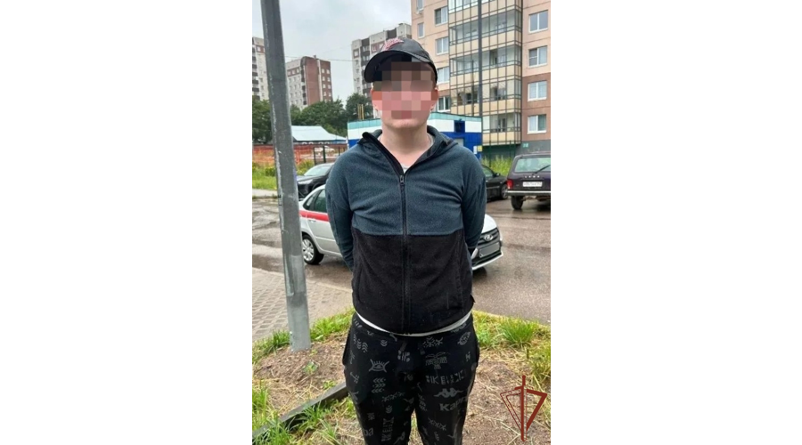 В Ленинградской области сотрудники Росгвардии оперативно задержали поджигателя АЗС 