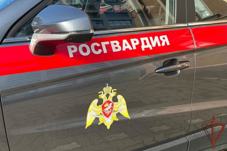 В Ленинградской области росгвардейцы оказали доврачебную помощь пострадавшему в ДТП водителю