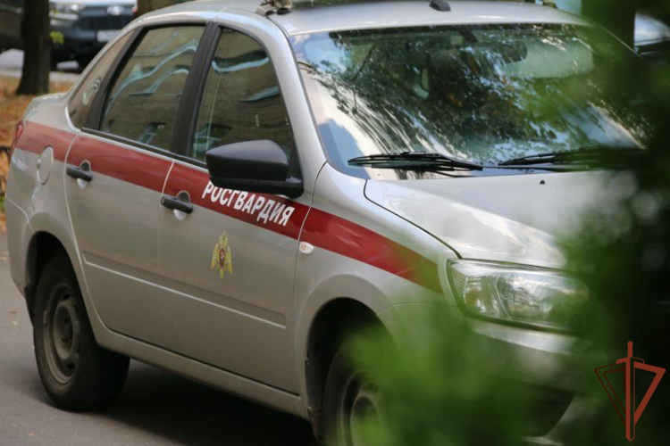 В Ленобласти наряд вневедомственной охраны Росгвардии разыскал и вернул матери пропавшего сына