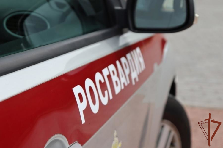 В Ленинградской области росгвардейцы вернули матери потерявшегося сына