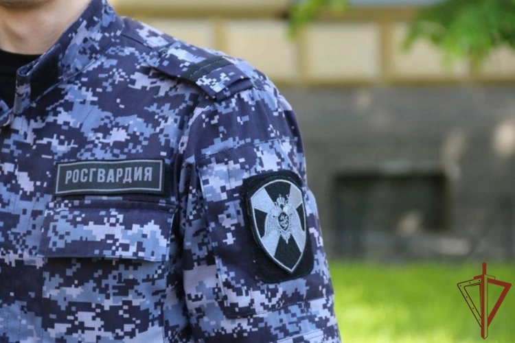 В Санкт-Петербурге сотрудники Росгвардии вернули матери сына, ушедшего с детской площадки