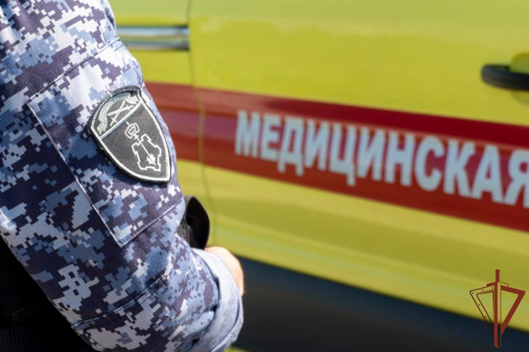 В Ленинградской области росгвардейцы первыми оказались на месте ДТП и вызвали скорую для пострадавшей