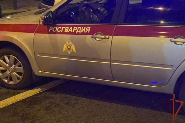 В Санкт-Петербурге сотрудники Росгвардии передали наряду ГАИ водителя, сбившего женщину