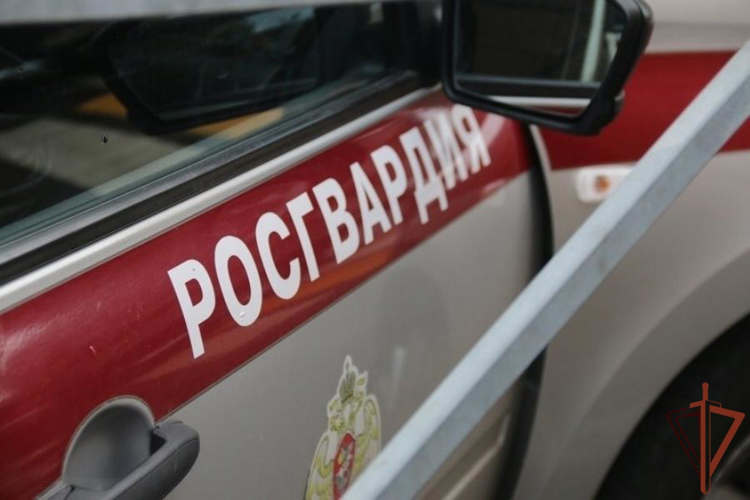Сотрудники Росгвардии оказали помощь пострадавшему в ДТП в Санкт-Петербурге