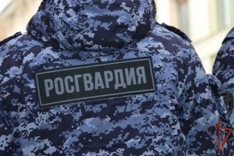 В Санкт-Петербурге наряд Росгвардии задержал помощницу телефонных мошенников, пытавшуюся проникнуть в одну из квартир в центре города (видео)