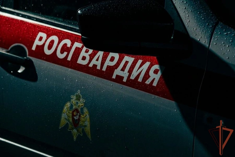 Росгвардейцы на территории заброшенного лагеря в Петербурге задержали вооруженных граждан (видео)