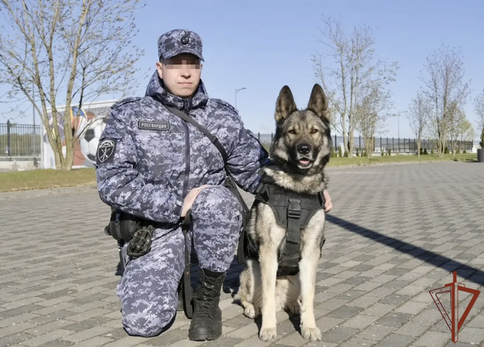 В Калининграде росгвардейцы обеспечили безопасность футбольного матча РПЛ