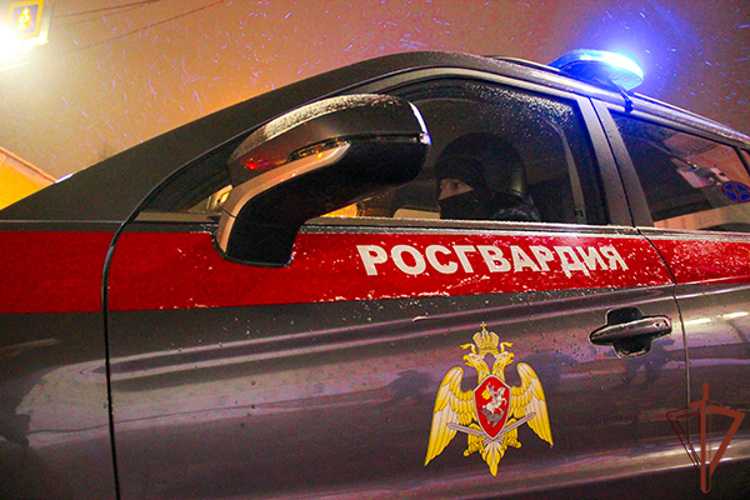 Росгвардейцы задержали рецидивистку, подозреваемую в угрозе убийством в Подмосковье (видео)
