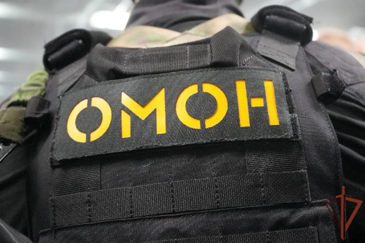 В Подмосковье при содействии спецназа Росгвардии задержаны подозреваемые в мошенничестве в отношении семьи участника СВО (видео)