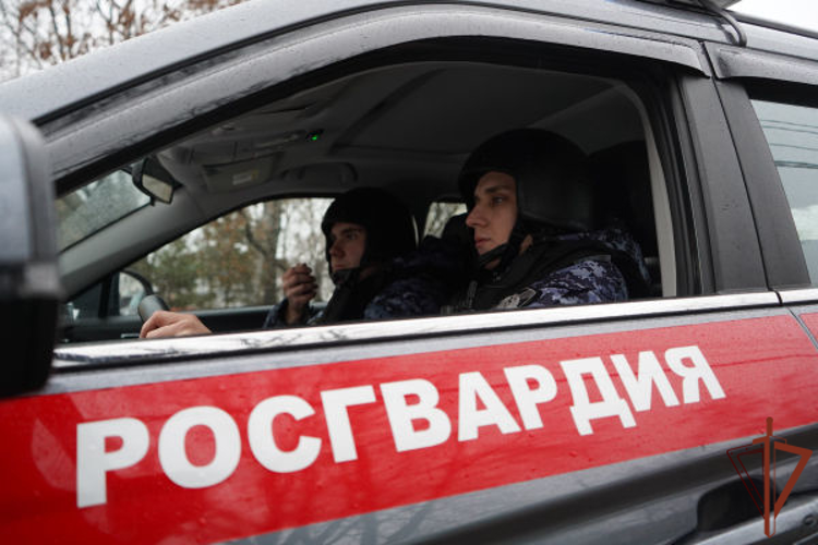 Росгвардейцы задержали рецидивиста, подозреваемого в угрозе убийством в Подмосковье (видео)