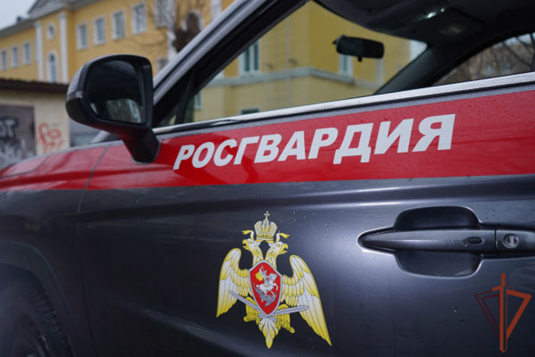 Росгвардейцы оказали помощь мужчине, почувствовавшему недомогание на дороге в Подмосковье (видео)