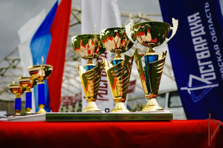 В Подмосковье завершился чемпионат Центрального округа Росгвардии по легкоатлетическому кроссу (видео)