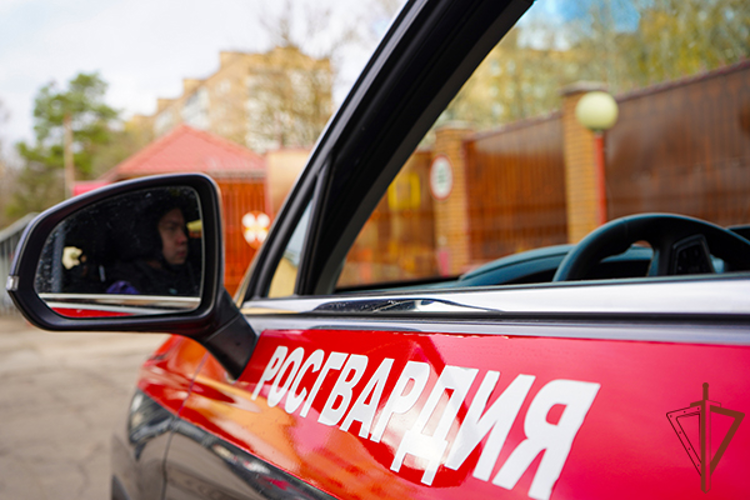 Сотрудники Росгвардии задержали мужчину, угрожавшего убийством работникам предприятия в Подмосковье (видео)