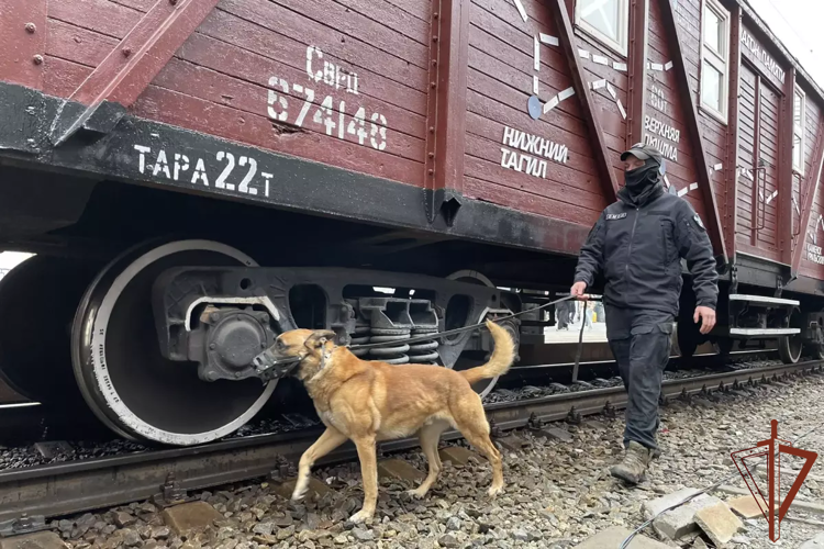 На  Урале Росгвардия обеспечила охрану порядка на памятных и спортивных мероприятиях