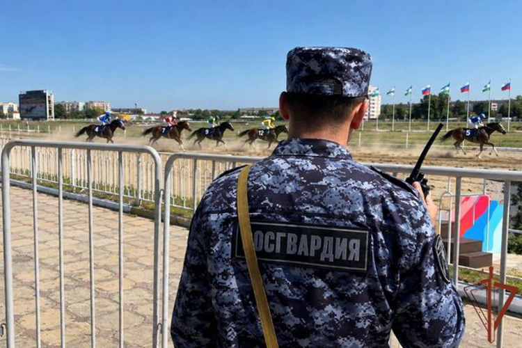 В Кабардино-Балкарии росгвардейцы обеспечили правопорядок на международном скаковом митинге «Кубок Эльбруса-2026»