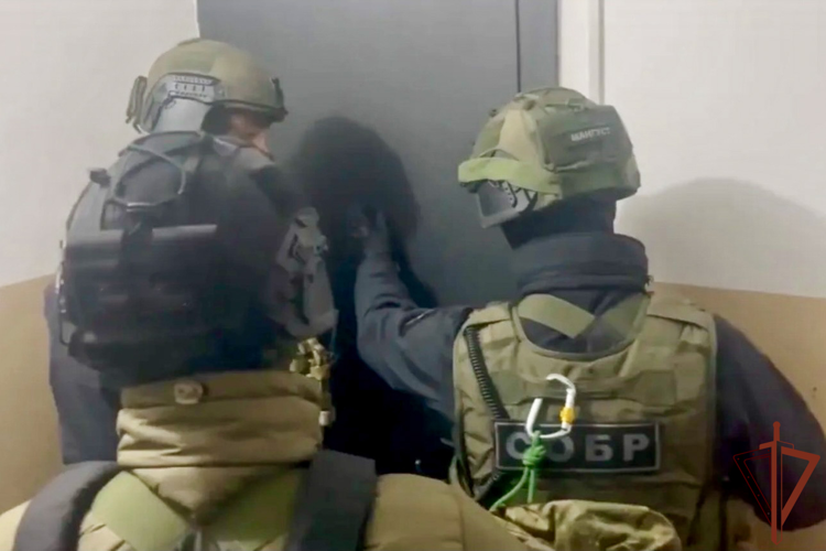 В Новосибирске при поддержке спецназа Росгвардии пресечена деятельность преступной группы, организовавшей незаконную миграцию (видео)