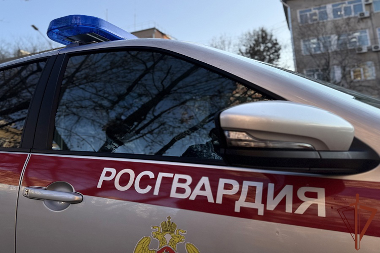 Сотрудники Росгвардии задержали исполнителей похищения человека в Амурской области