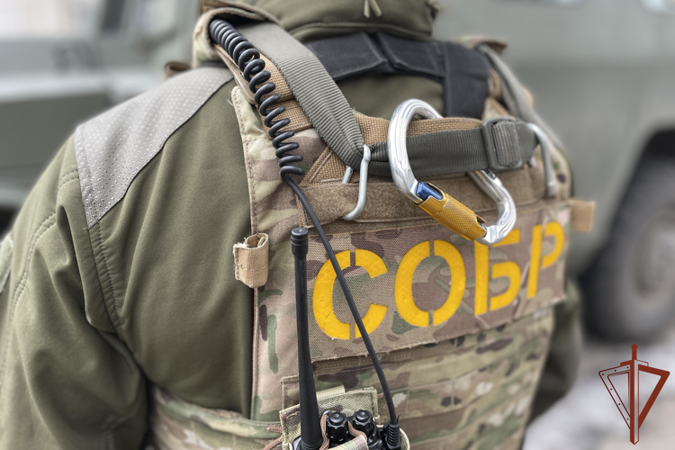 В Белгородской области при силовой поддержке СОБР Росгвардии задержаны подозреваемые в незаконном обороте оружия и боеприпасов (видео)