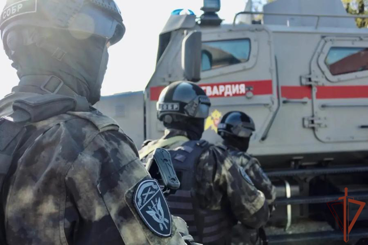 При содействии СОБР Росгвардии в Калининградской области задержан подозреваемый в хранении наркотиков (видео)