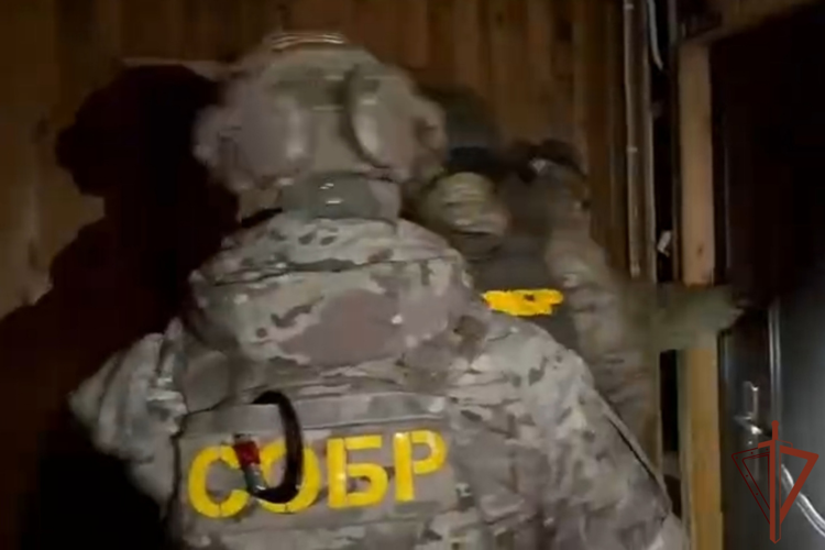 При силовой поддержке спецназа Росгвардии в Красноярском крае задержаны участники преступной схемы в сфере благоустройства на 32 млн рублей