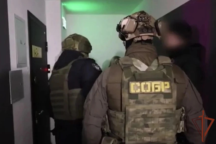 В Башкортостане при силовой поддержке спецназа Росгвардии ликвидирована сеть по производству и продаже порнографии (видео)