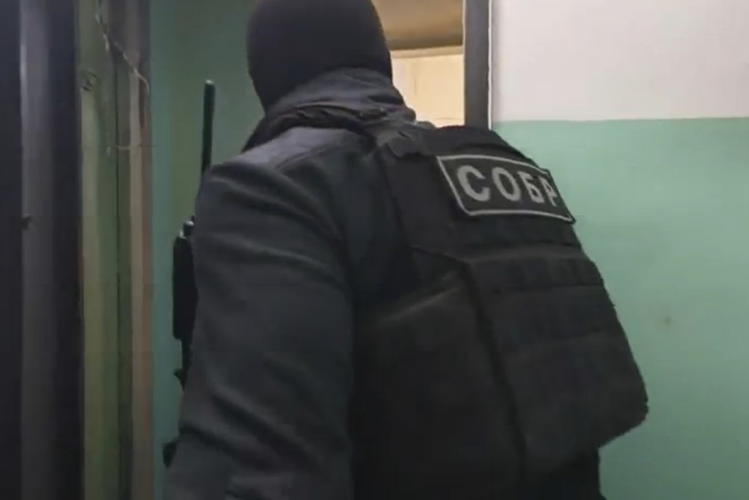 В Ульяновской области при содействии Росгвардии задержана подозреваемая в публичном оправдании терроризма (видео)