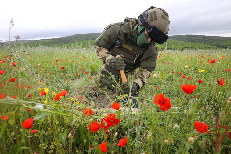 Сотрудники Росгвардии обезвредили снаряды, обнаруженные в Севастополе