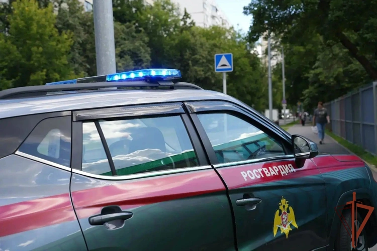 В центре Москвы сотрудники Росгвардии пришли на помощь водителям, оказавшимся в трудных ситуациях на дороге (видео)