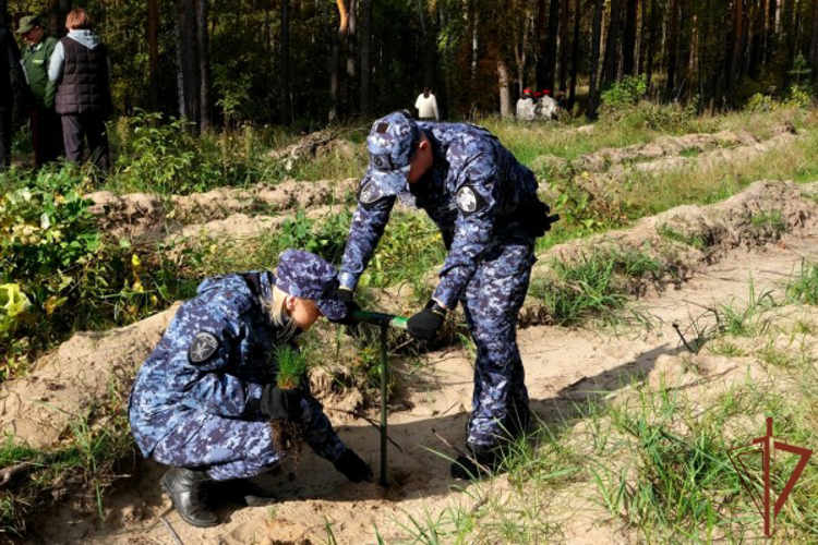 Росгвардейцы приняли участие в ежегодной всероссийской акции по восстановлению лесов в Тамбовской области