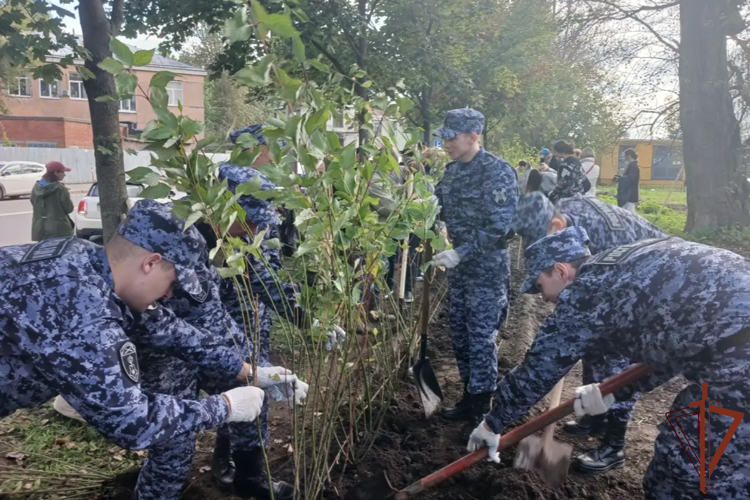 В Северо-Западном округе Росгвардии продолжаются мероприятия в честь 10-летия ведомства