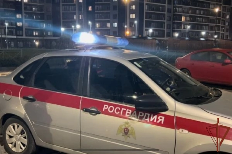 В Санкт-Петербурге наряд Росгвардии задержал мужчину, подозреваемого в особо тяжком преступлении