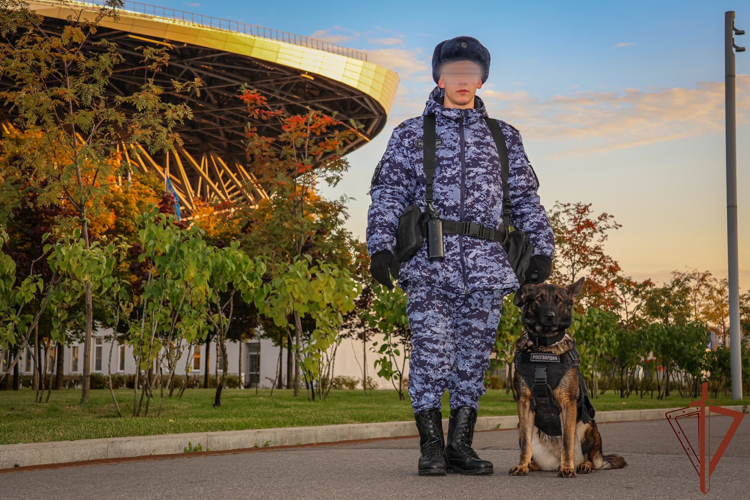 Безопасность матча КХЛ в Санкт-Петербурге обеспечили росгвардейцы