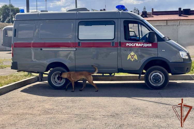 Чемпионат по многоборью кинологов Южного округа Росгвардии завершился под Волгоградом
