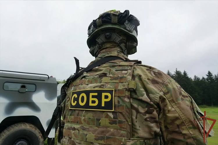 В Белгородской области при содействии Росгвардии задержаны подозреваемые в организации бизнеса по предоставлению интимных услуг (видео)