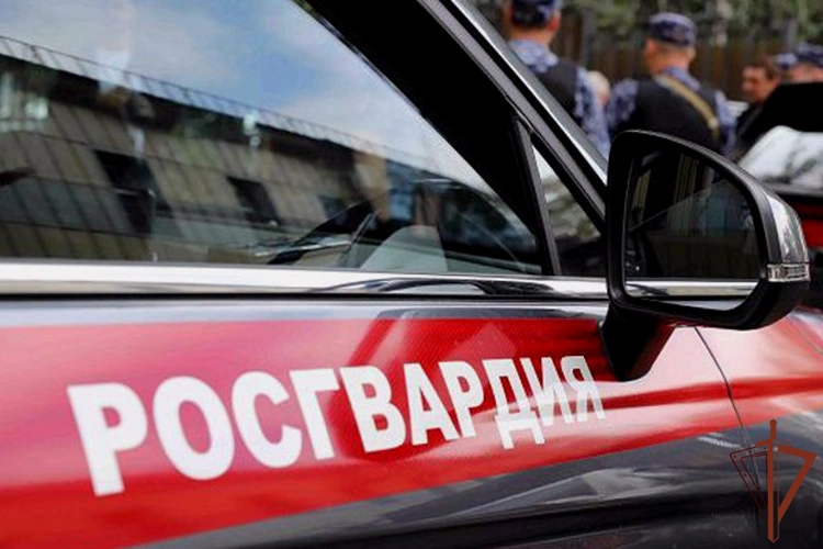 По горячим следам задержали подозреваемого в тяжком преступлении  росгвардейцы из Челябинска