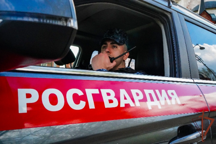Росгвардейцы по горячим следам задержали мужчину, подозреваемого в нанесении ножевых ранений в Подмосковье (видео)