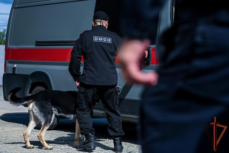 Росгвардия обеспечила правопорядок при проведении массовых мероприятий на Урале