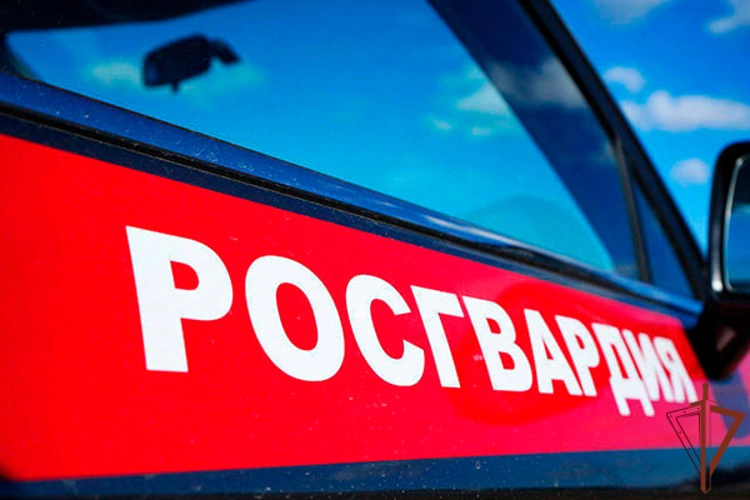 Росгвардейцы задержали мужчину, открывшего стрельбу в Подмосковье (видео)