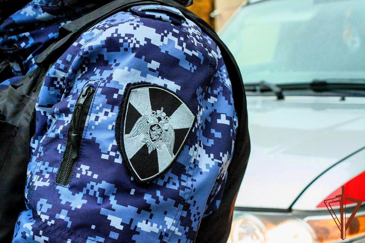 Росгвардейцы задержали нарушителя общественного порядка у избирательного участка в Южном Бутове (видео)