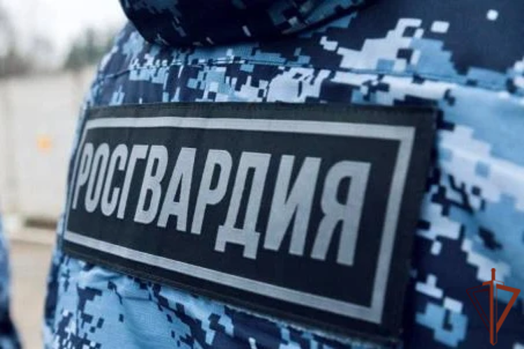 Военнослужащие Росгвардии пресекли нарушение общественного порядка на избирательном участке в Москве (видео)