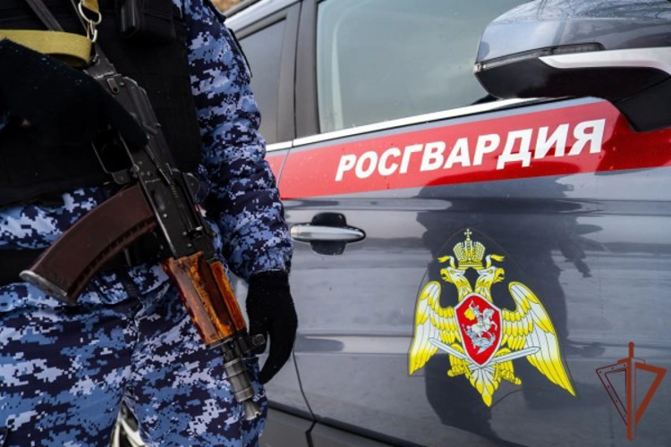 В Москве росгвардейцы пресекли дебош в торговом комплексе (видео)