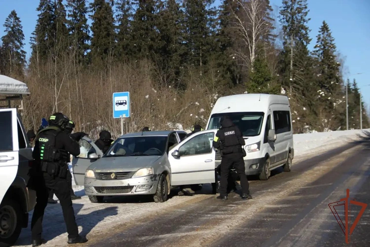 Тактико-специальные учения спецподразделения Росгвардии прошли в Подмосковье (видео)
