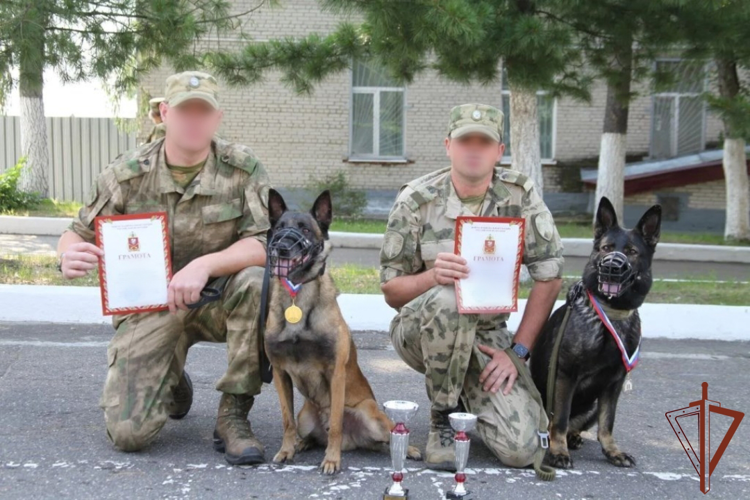 Чемпионат по многоборью кинологов Сибирского ордена Жукова округа Росгвардии завершился в Томской области