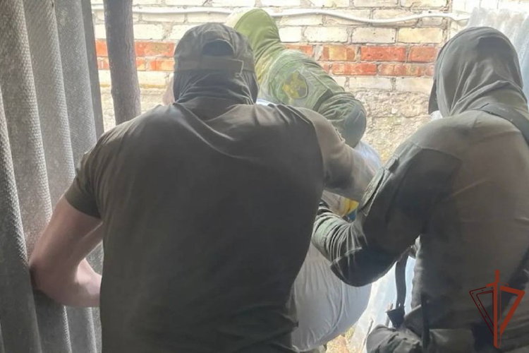 При силовой поддержке спецназа Росгвардии ликвидирована крупная лаборатория по производству наркотиков в Самарской области (видео)
