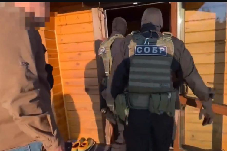 В Тверской области при содействии спецназа Росгвардии пресечена незаконная рубка леса в особо крупном размере