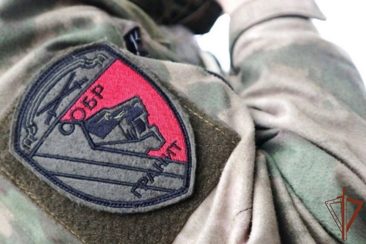 В Санкт-Петербурге при содействии СОБР Росгвардии пресечена деятельность подпольной наркоплантации
