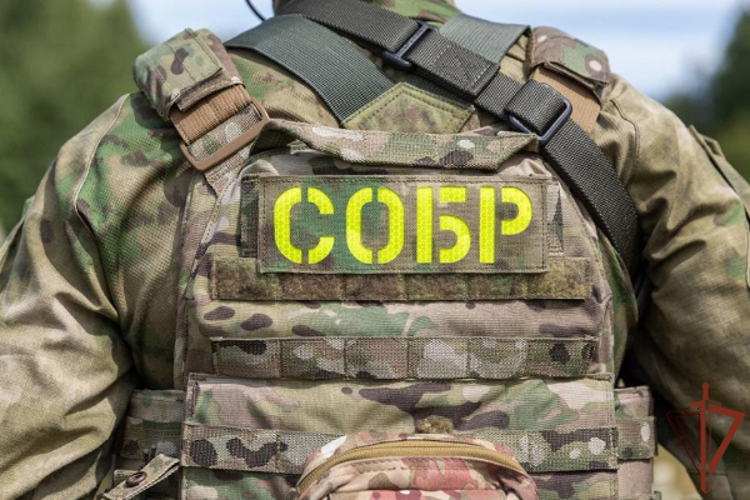 При участии спецназа Росгвардии в Дагестане задержаны подозреваемые в планировании террористического акта