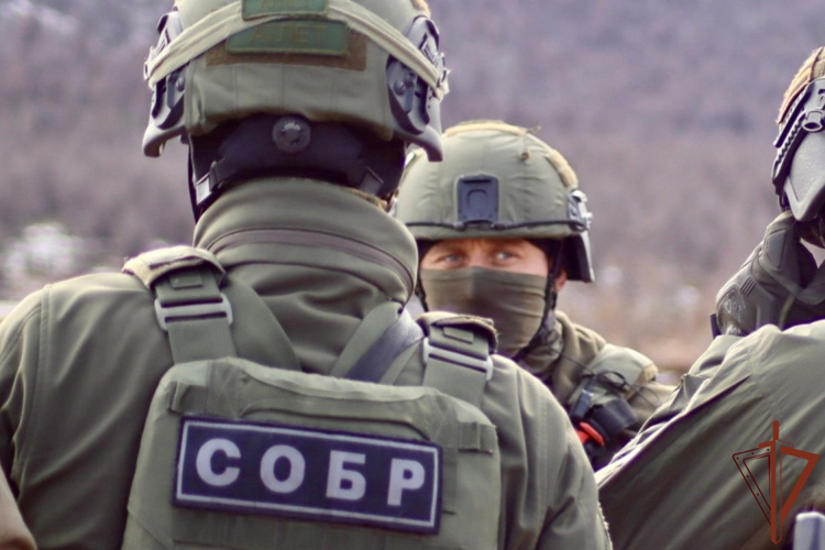 При содействии Росгвардии на Колыме задержан подозреваемый в экстремизме