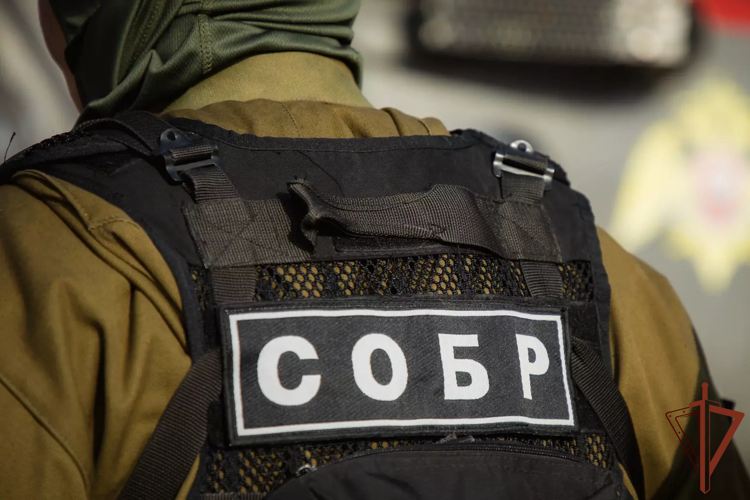 При участии спецназа Росгвардии задержан подозреваемый за призывы к терактам в Севастополе